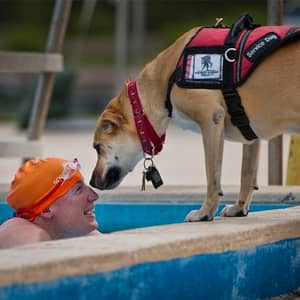 Dueño en la piscina con su perro de ayuda